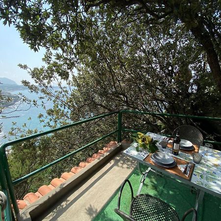 Le Dimore Di Zaro - Green Paradise Forio di Ischia Exteriör bild