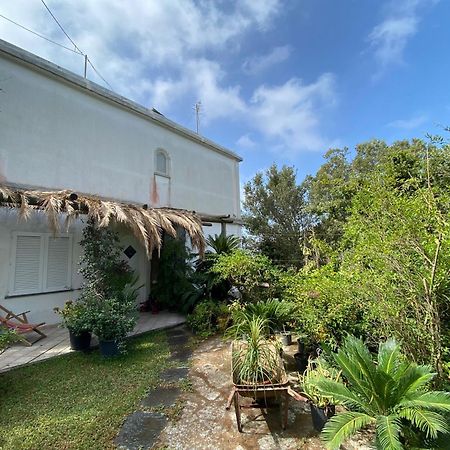 Le Dimore Di Zaro - Green Paradise Forio di Ischia Rum bild