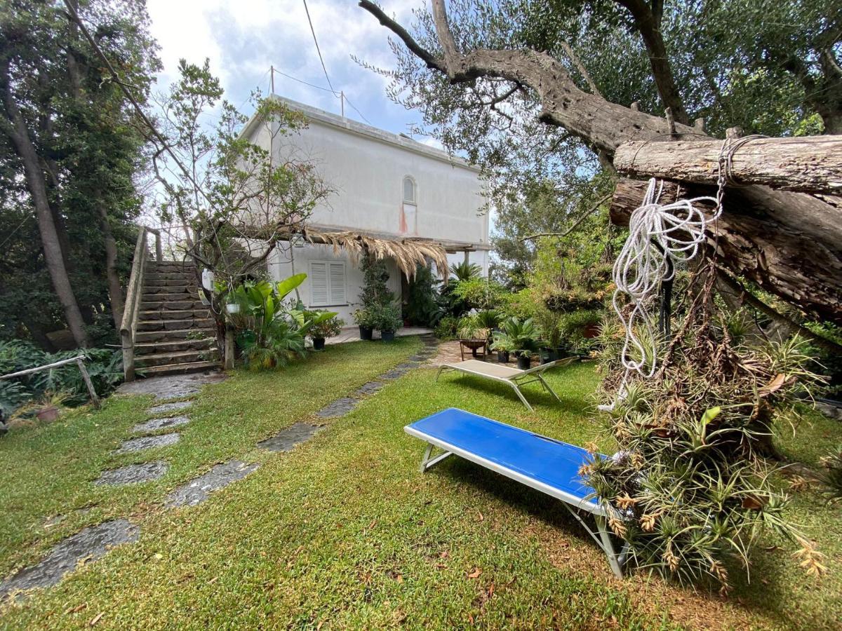 Le Dimore Di Zaro - Green Paradise Forio di Ischia Exteriör bild