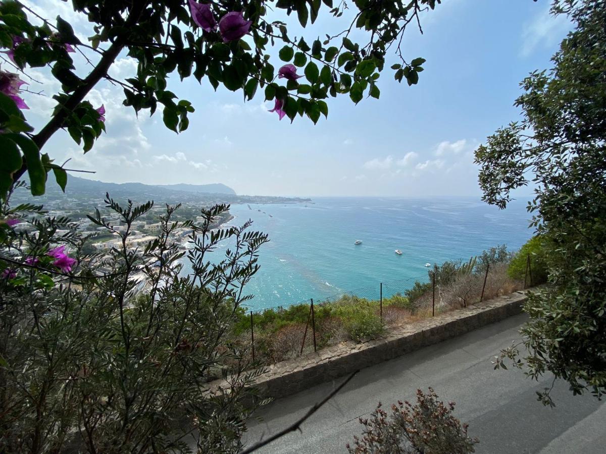 Le Dimore Di Zaro - Green Paradise Forio di Ischia Exteriör bild