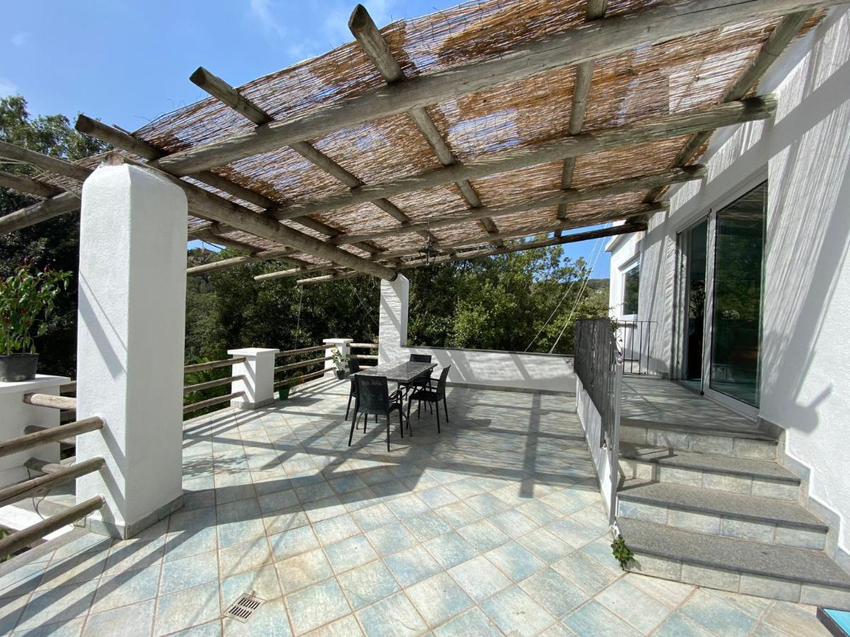 Le Dimore Di Zaro - Green Paradise Forio di Ischia Exteriör bild