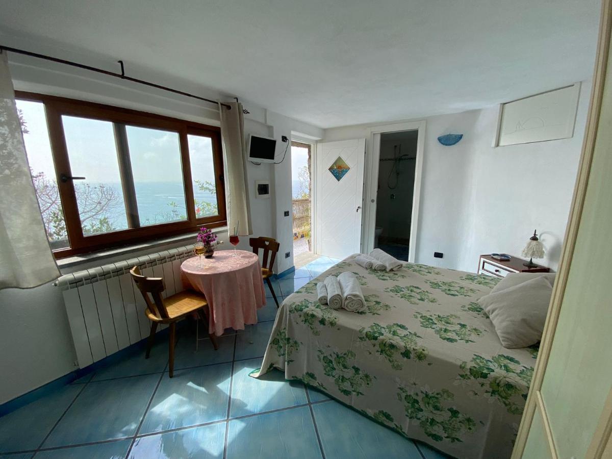 Le Dimore Di Zaro - Green Paradise Forio di Ischia Exteriör bild