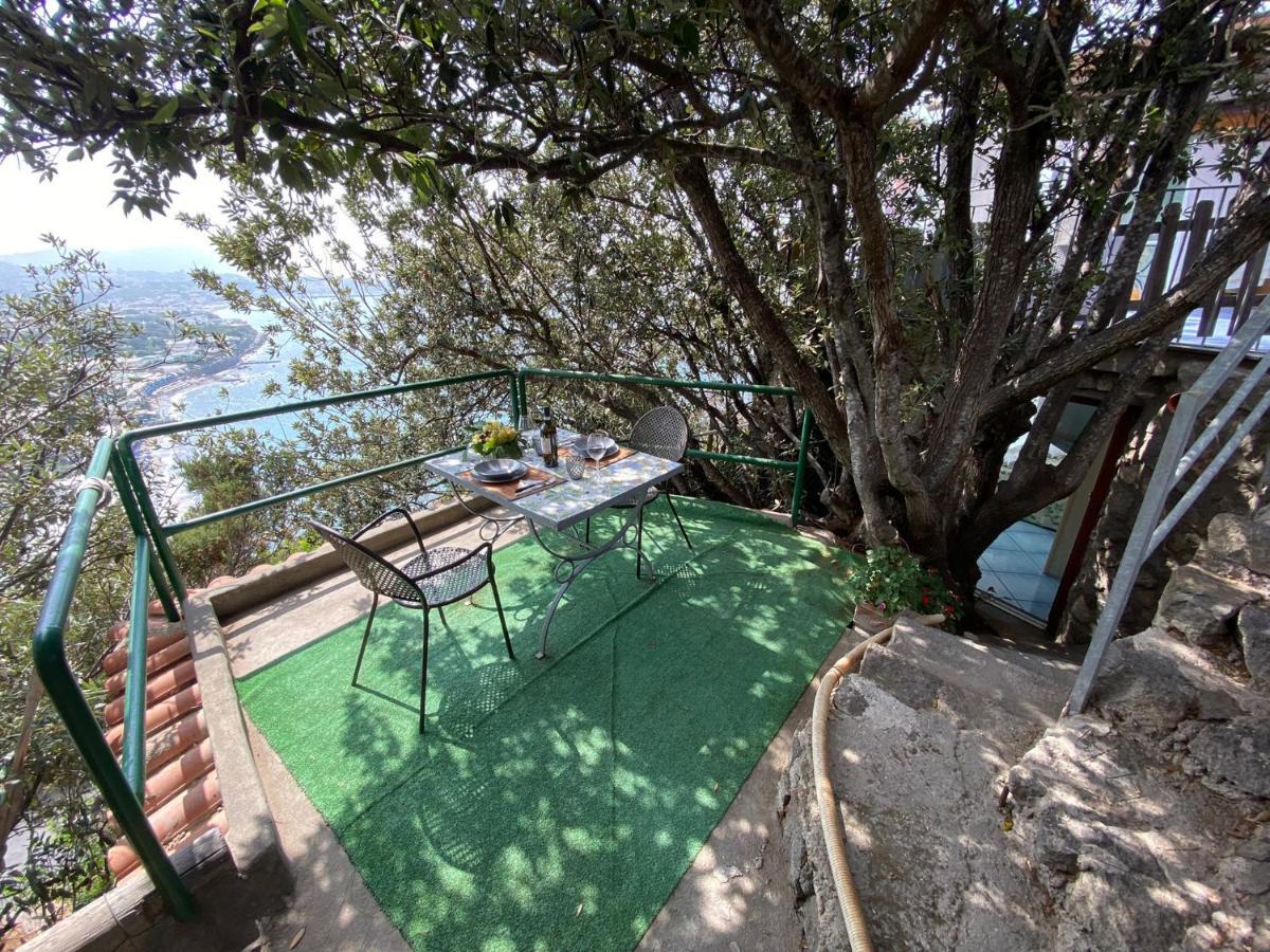 Le Dimore Di Zaro - Green Paradise Forio di Ischia Exteriör bild