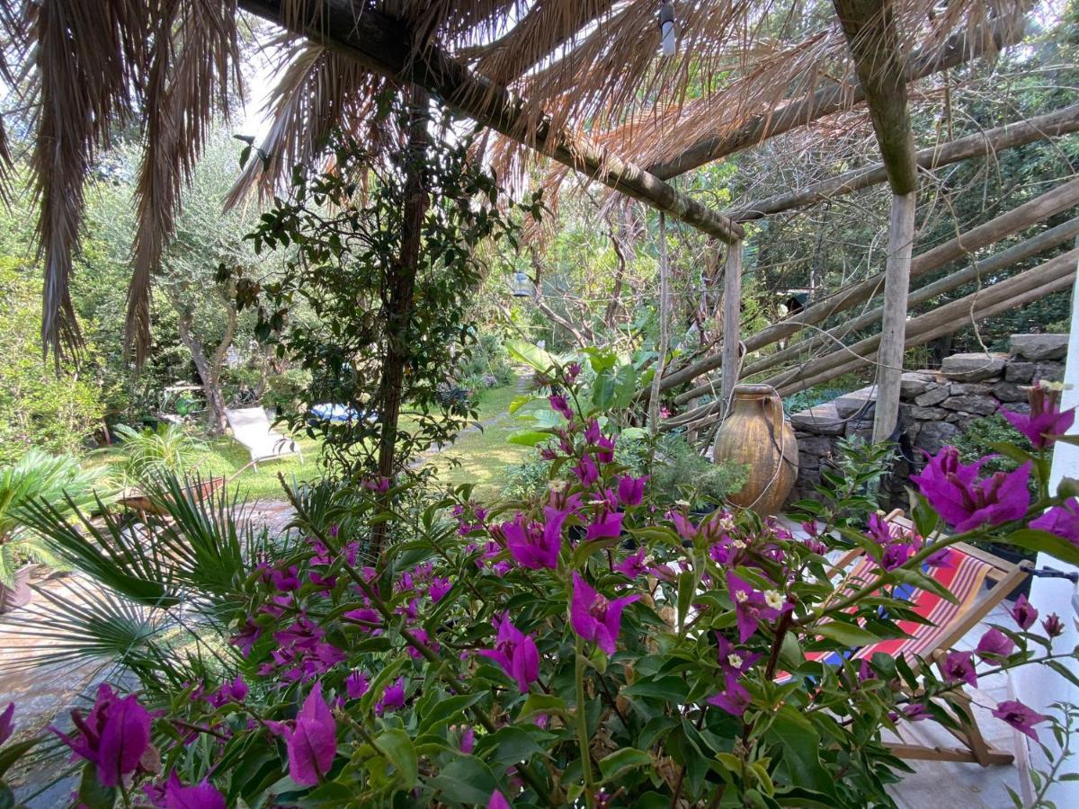 Le Dimore Di Zaro - Green Paradise Forio di Ischia Exteriör bild