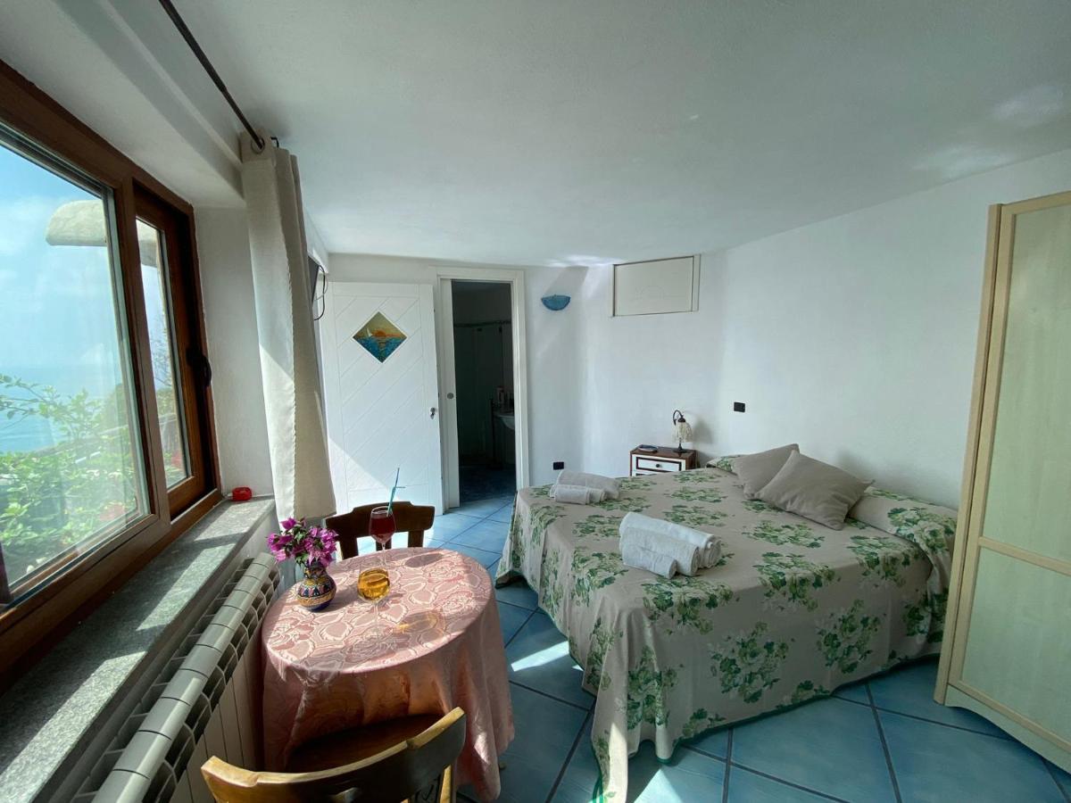Le Dimore Di Zaro - Green Paradise Forio di Ischia Exteriör bild