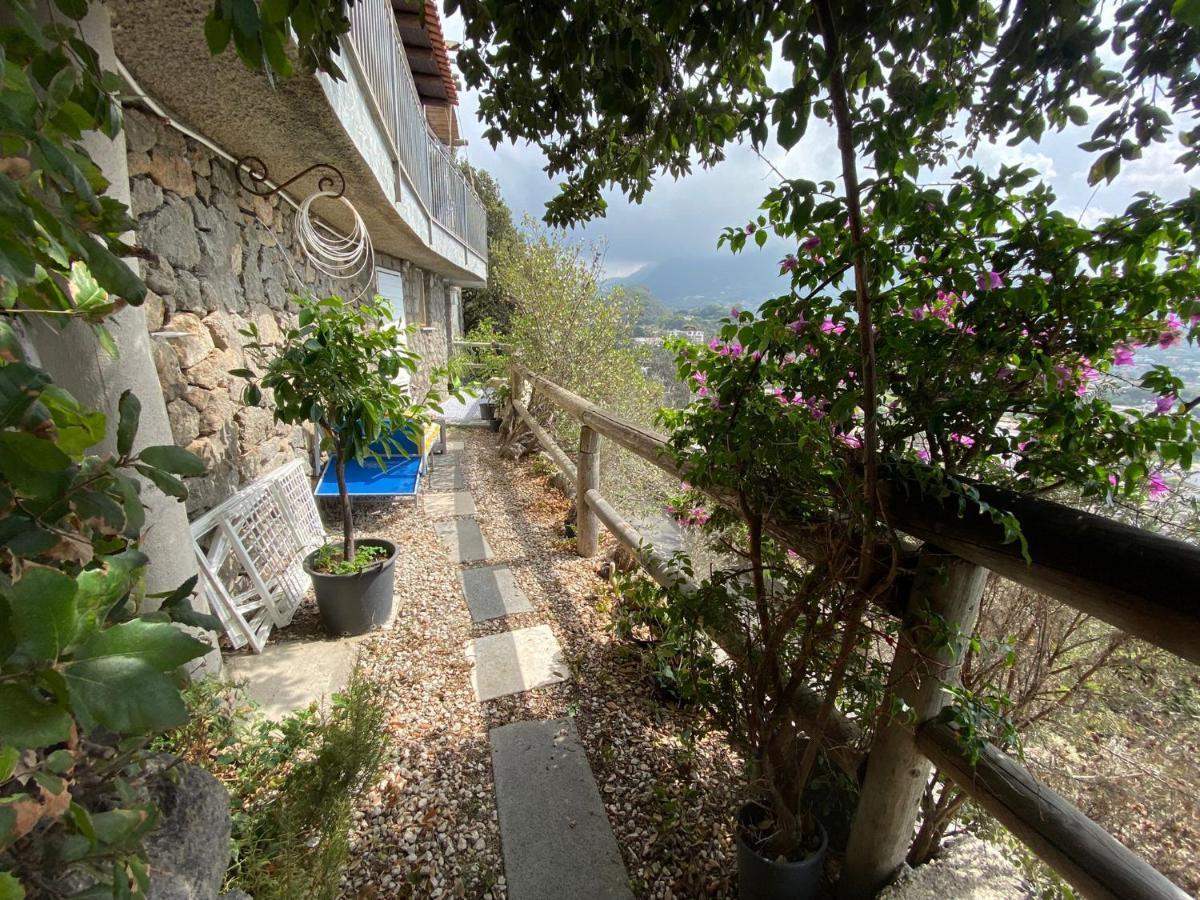 Le Dimore Di Zaro - Green Paradise Forio di Ischia Exteriör bild