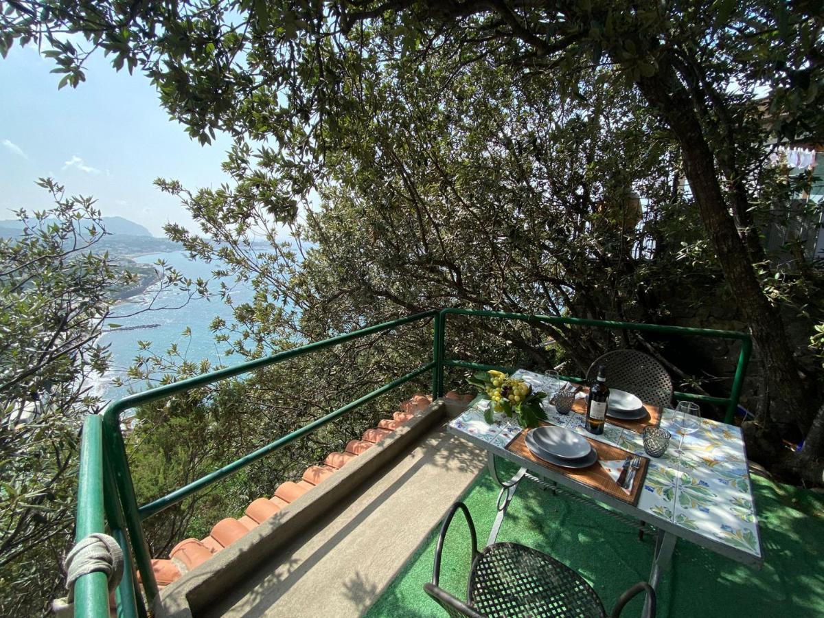 Le Dimore Di Zaro - Green Paradise Forio di Ischia Exteriör bild