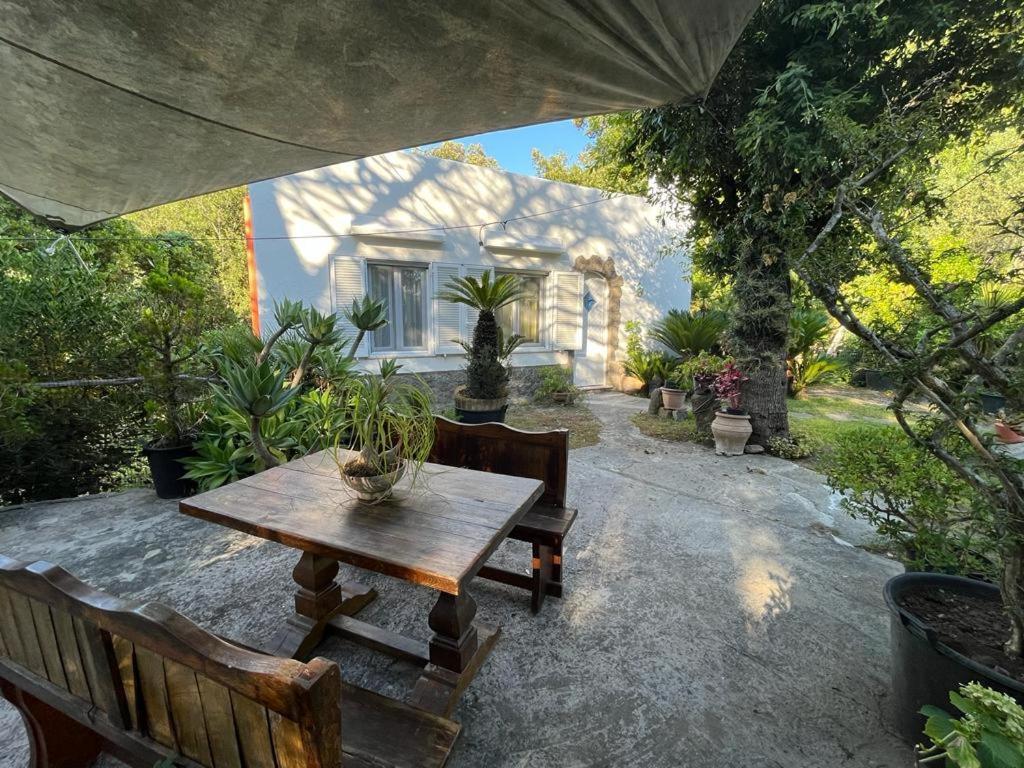 Le Dimore Di Zaro - Green Paradise Forio di Ischia Exteriör bild