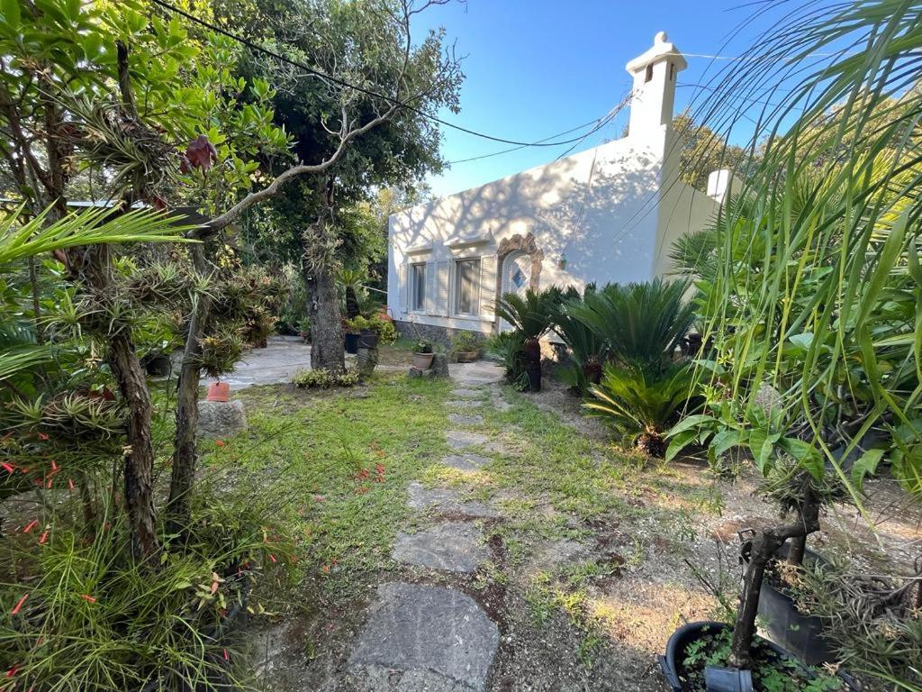 Le Dimore Di Zaro - Green Paradise Forio di Ischia Exteriör bild