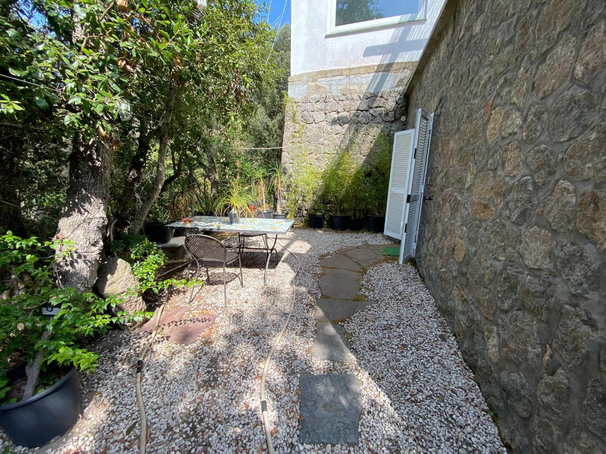 Le Dimore Di Zaro - Green Paradise Forio di Ischia Rum bild