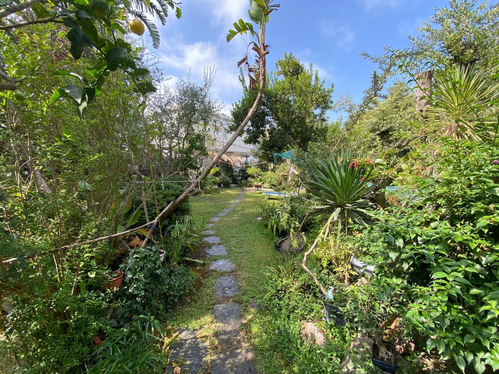 Le Dimore Di Zaro - Green Paradise Forio di Ischia Rum bild