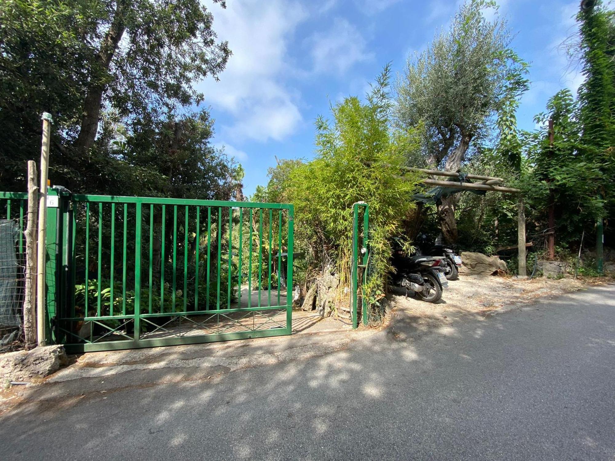 Le Dimore Di Zaro - Green Paradise Forio di Ischia Rum bild