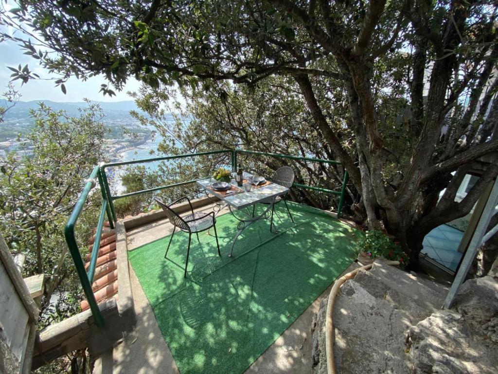 Le Dimore Di Zaro - Green Paradise Forio di Ischia Exteriör bild